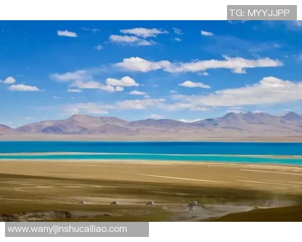 《他是绿茵场上的王者，她是他心中最柔软的秘密，足球与爱情的完美交织》